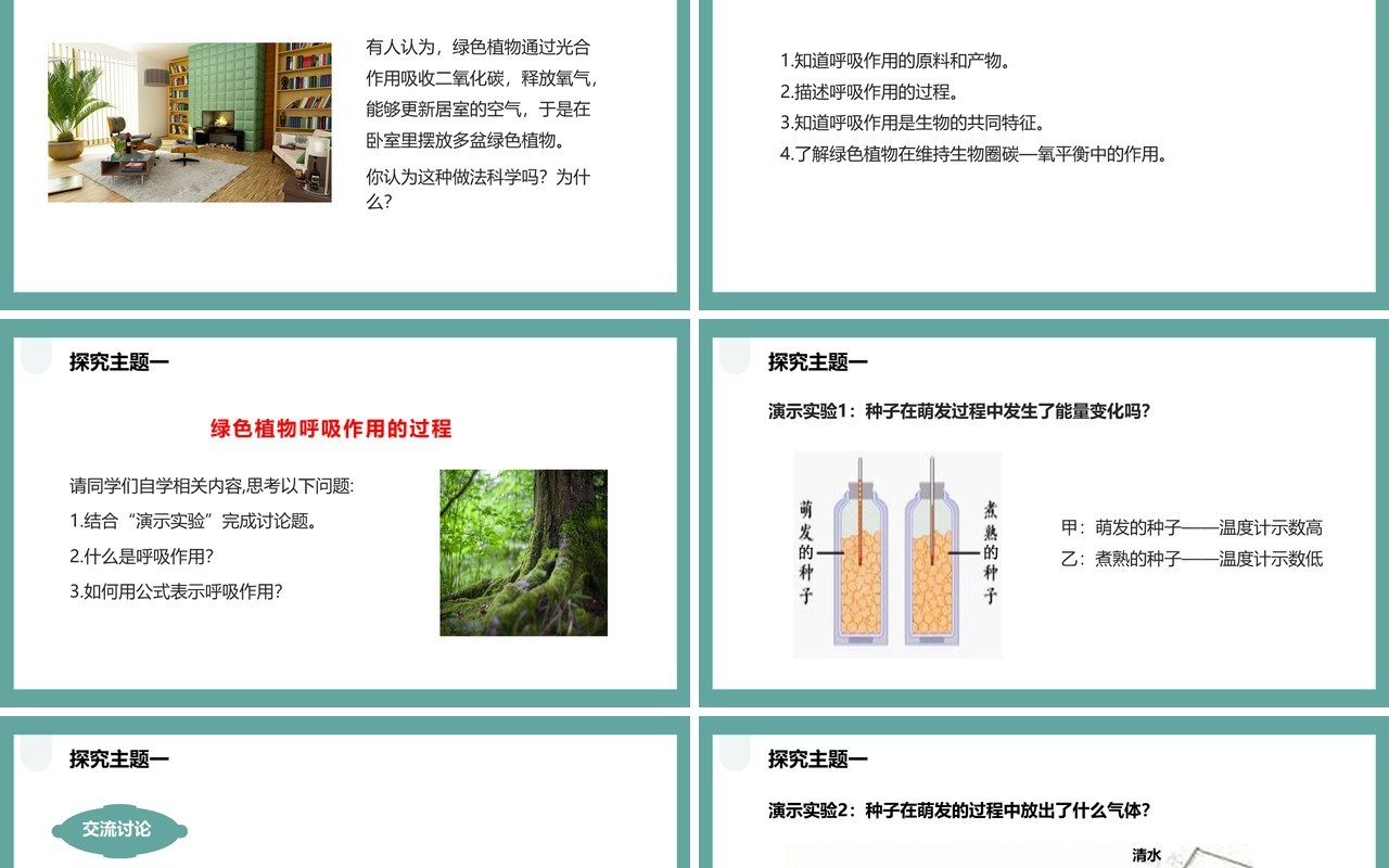 人教版七年级生物上册绿色植物的呼吸作用课件PPT模板