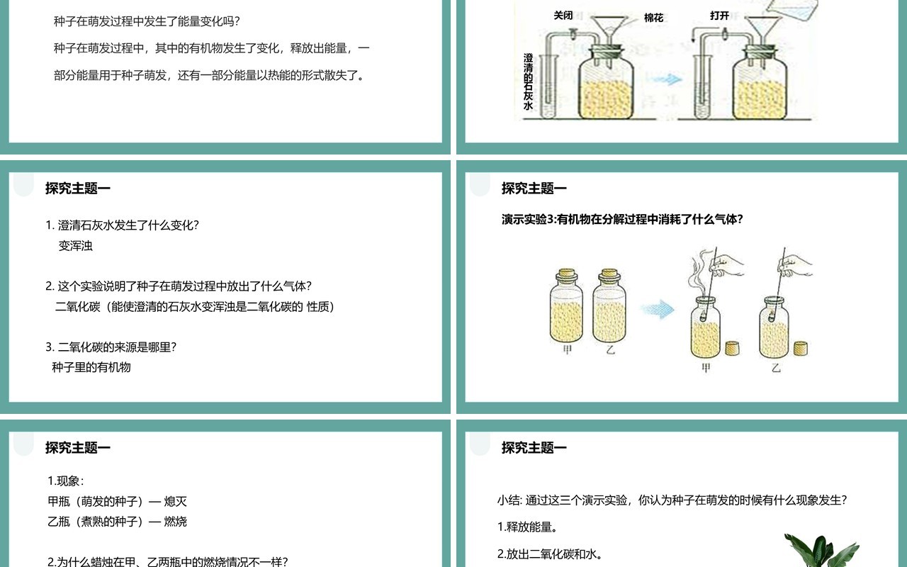 人教版七年级生物上册绿色植物的呼吸作用课件PPT模板
