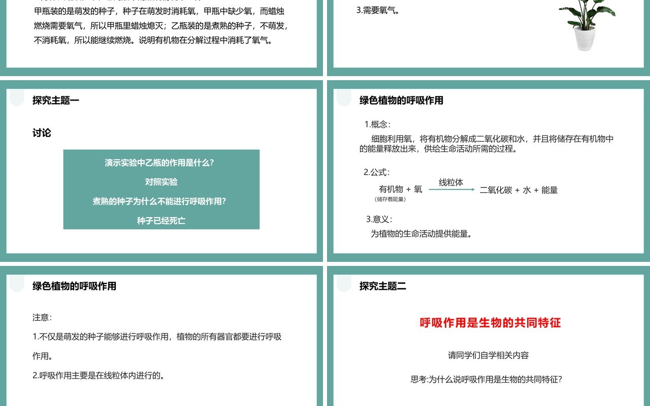 人教版七年级生物上册绿色植物的呼吸作用课件PPT模板