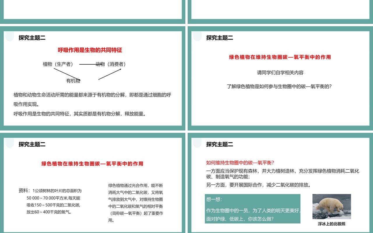 人教版七年级生物上册绿色植物的呼吸作用课件PPT模板