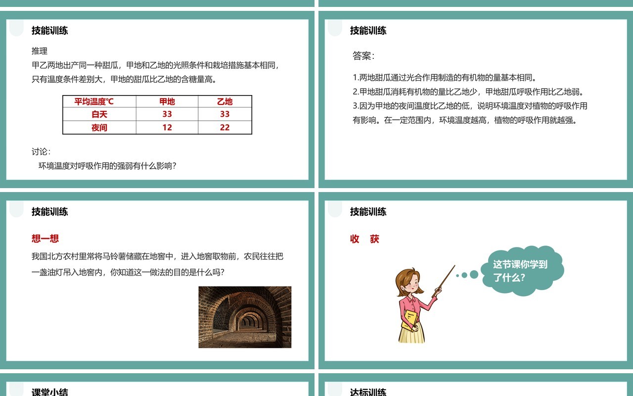 人教版七年级生物上册绿色植物的呼吸作用课件PPT模板