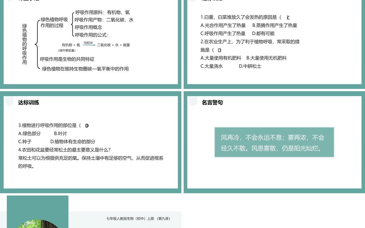 人教版七年级生物上册绿色植物的呼吸作用课件PPT模板