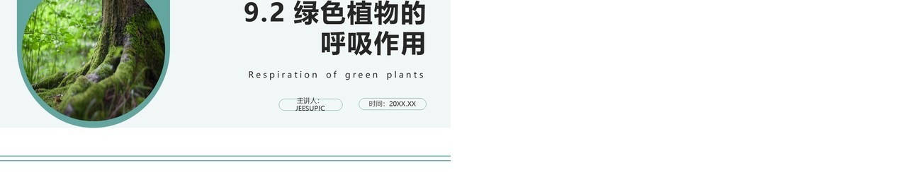 人教版七年级生物上册绿色植物的呼吸作用课件PPT模板