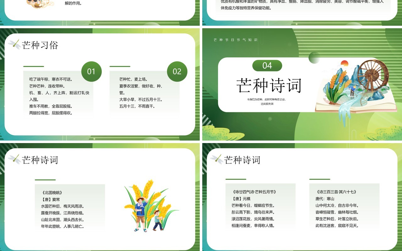 绿色插画风芒种节气文化知识PPT模板