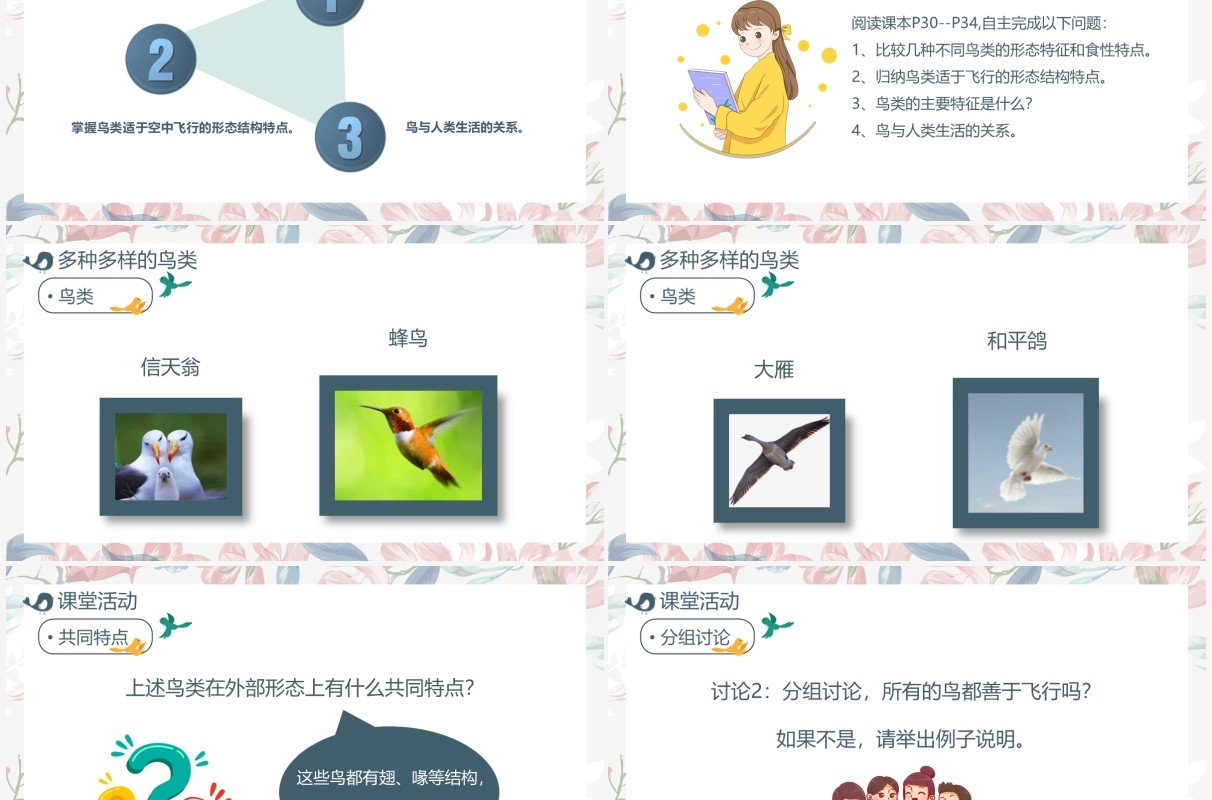 部编版七年级语文上册鸟课件PPT模板