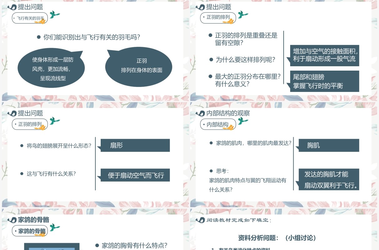 部编版七年级语文上册鸟课件PPT模板