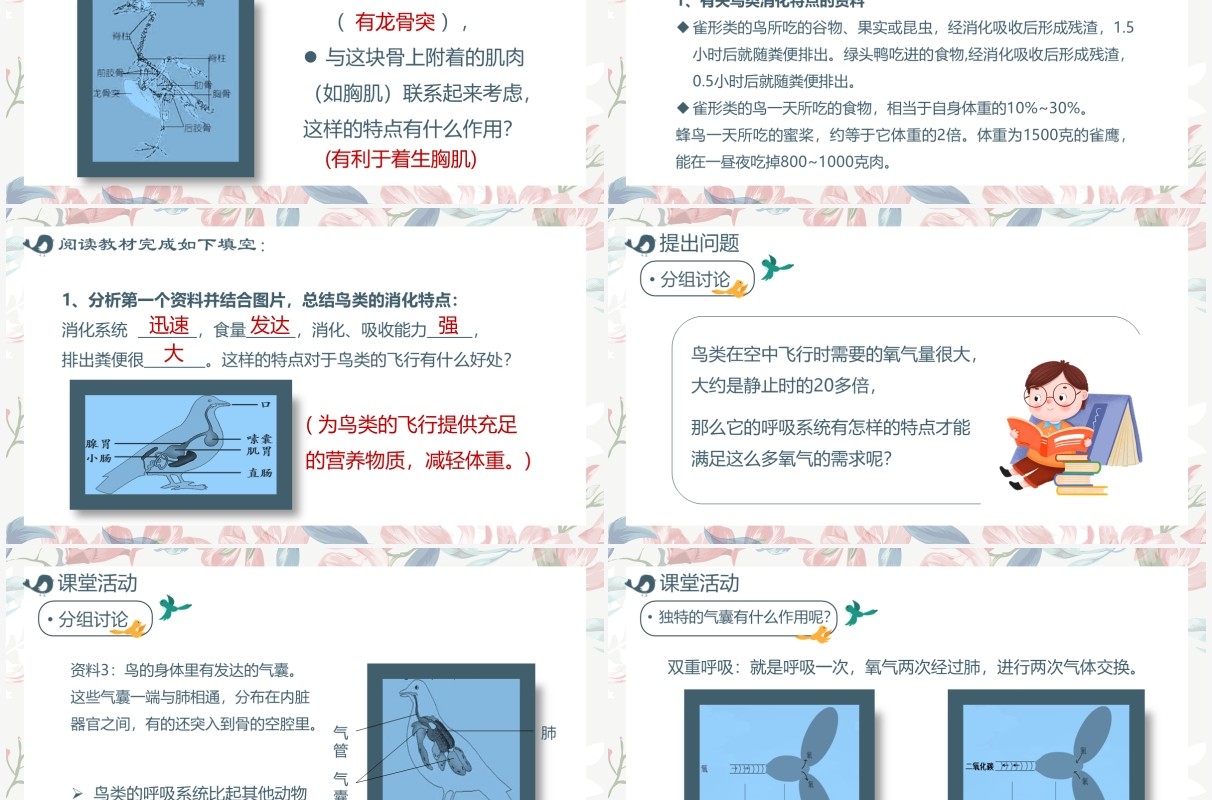 部编版七年级语文上册鸟课件PPT模板
