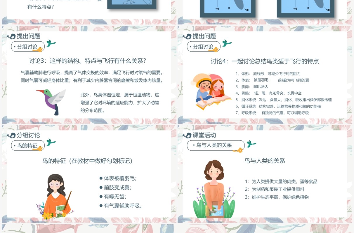 部编版七年级语文上册鸟课件PPT模板