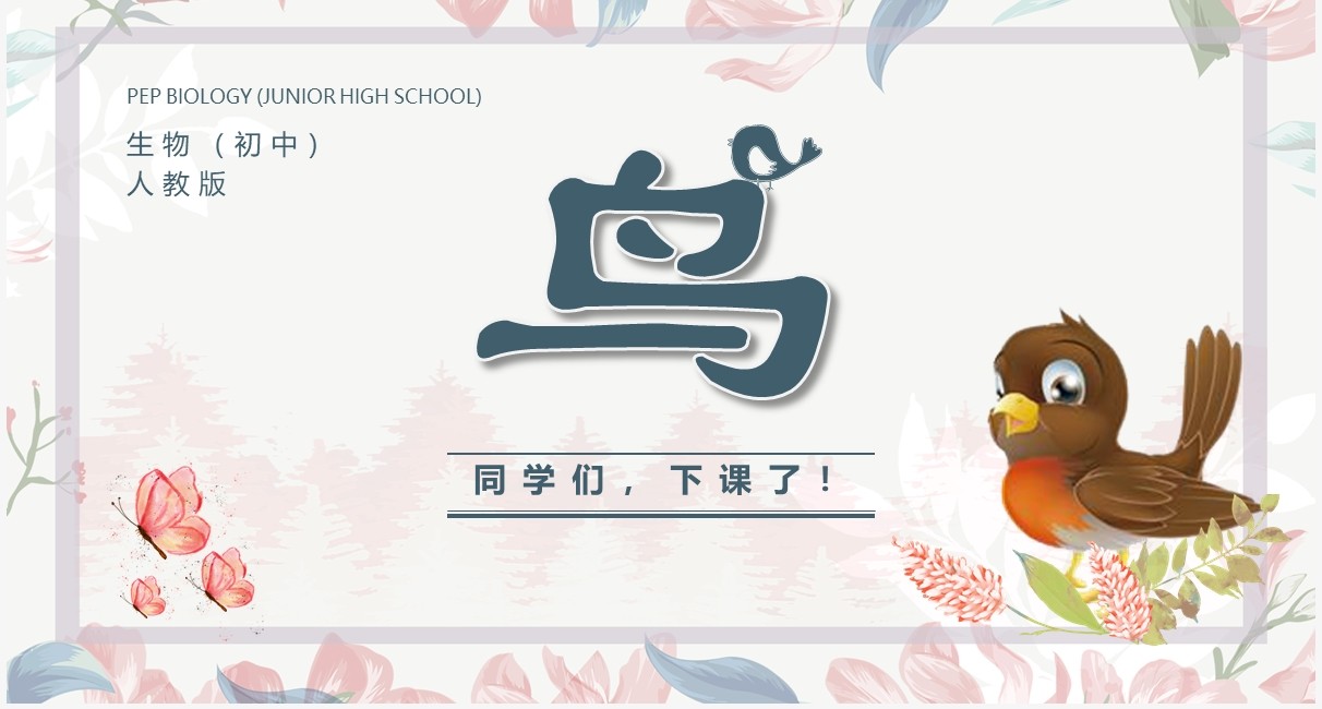 部编版七年级语文上册鸟课件PPT模板