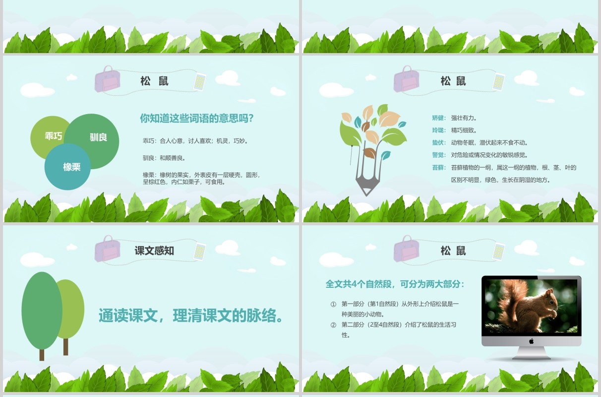 教师说课松鼠语文课件PPT模板