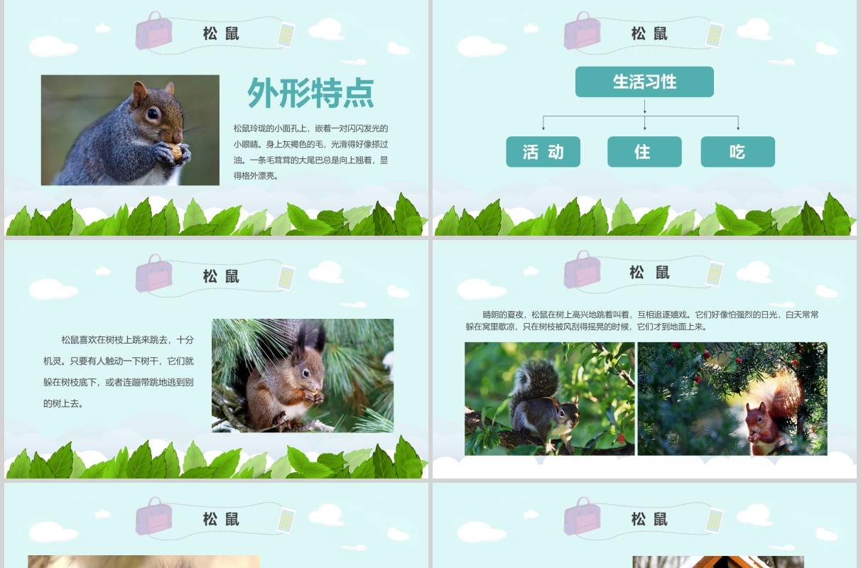 教师说课松鼠语文课件PPT模板