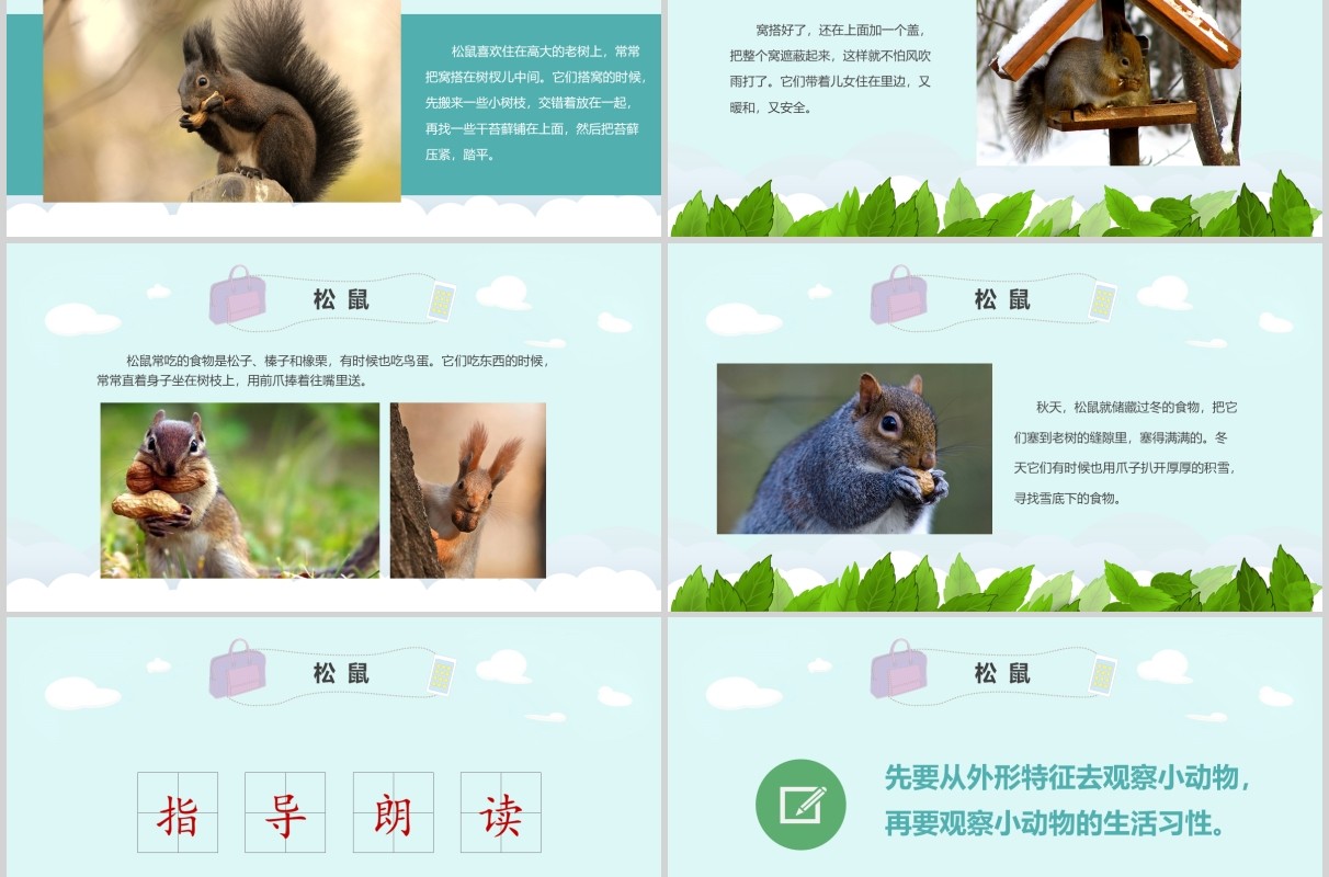 教师说课松鼠语文课件PPT模板