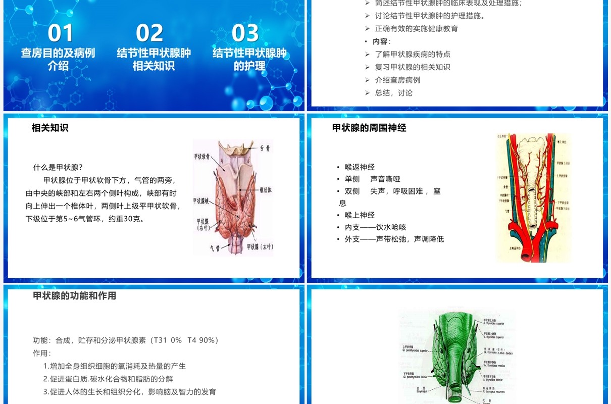 蓝色甲状腺结节介绍PPT模板