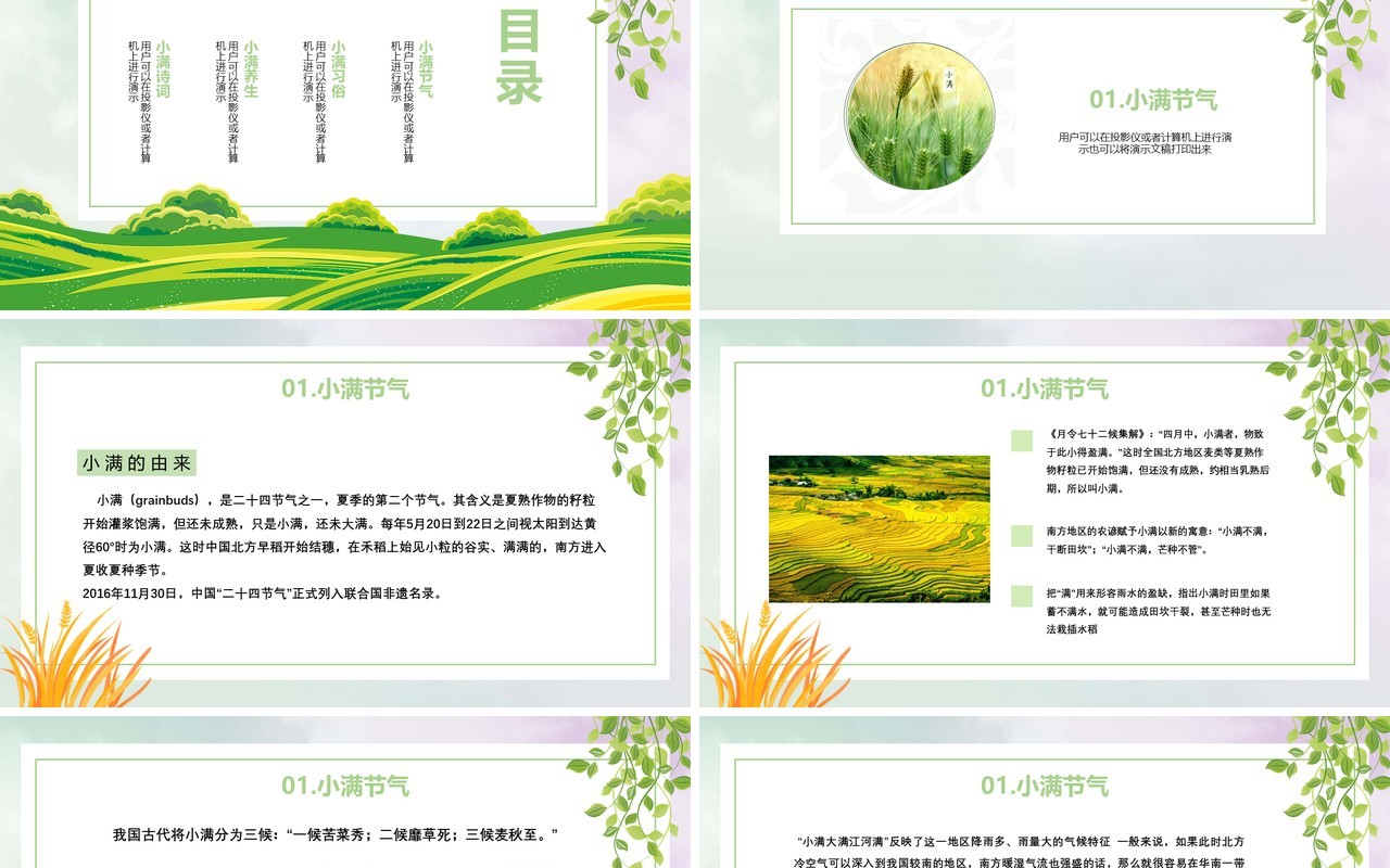 简约卡通二十四节气小满节气PPT模板