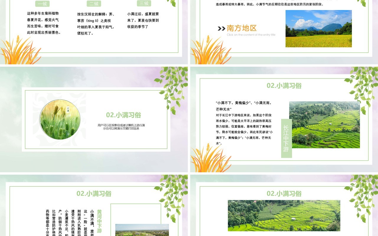简约卡通二十四节气小满节气PPT模板