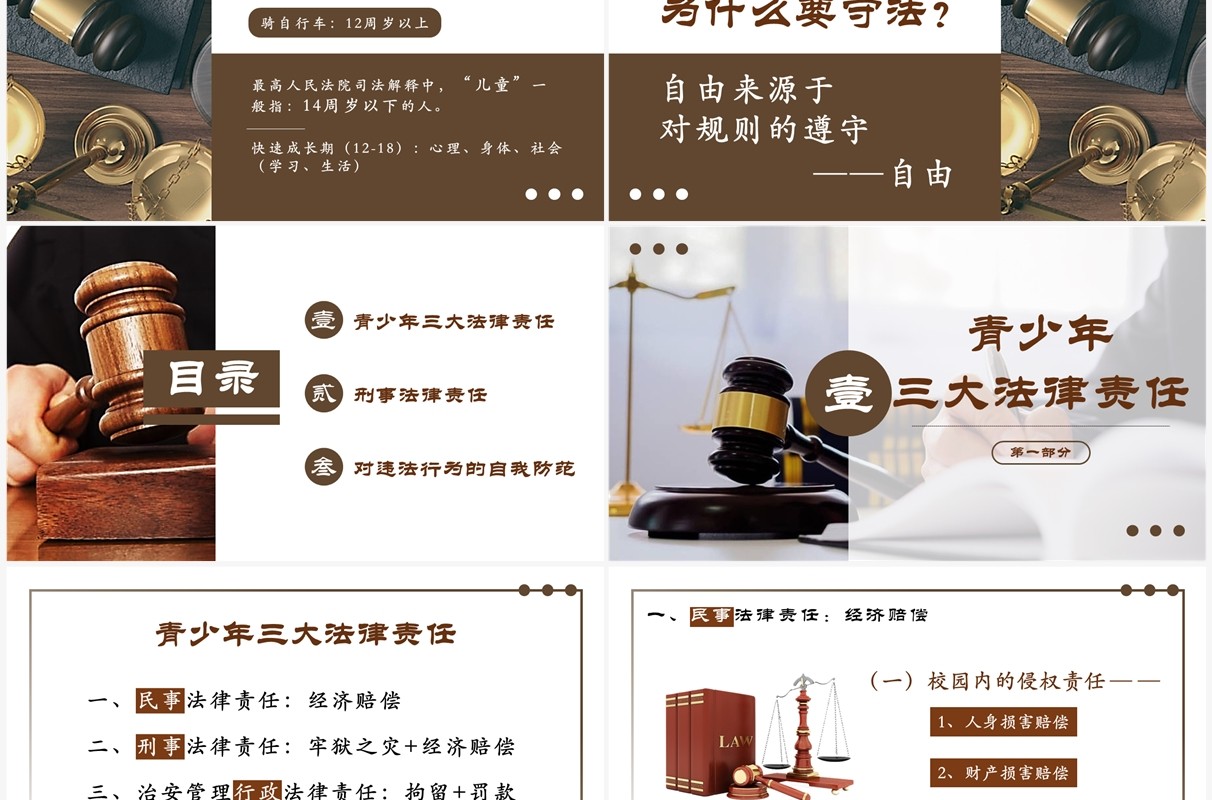 棕色简约风青少年普法宣传教育PPT模板