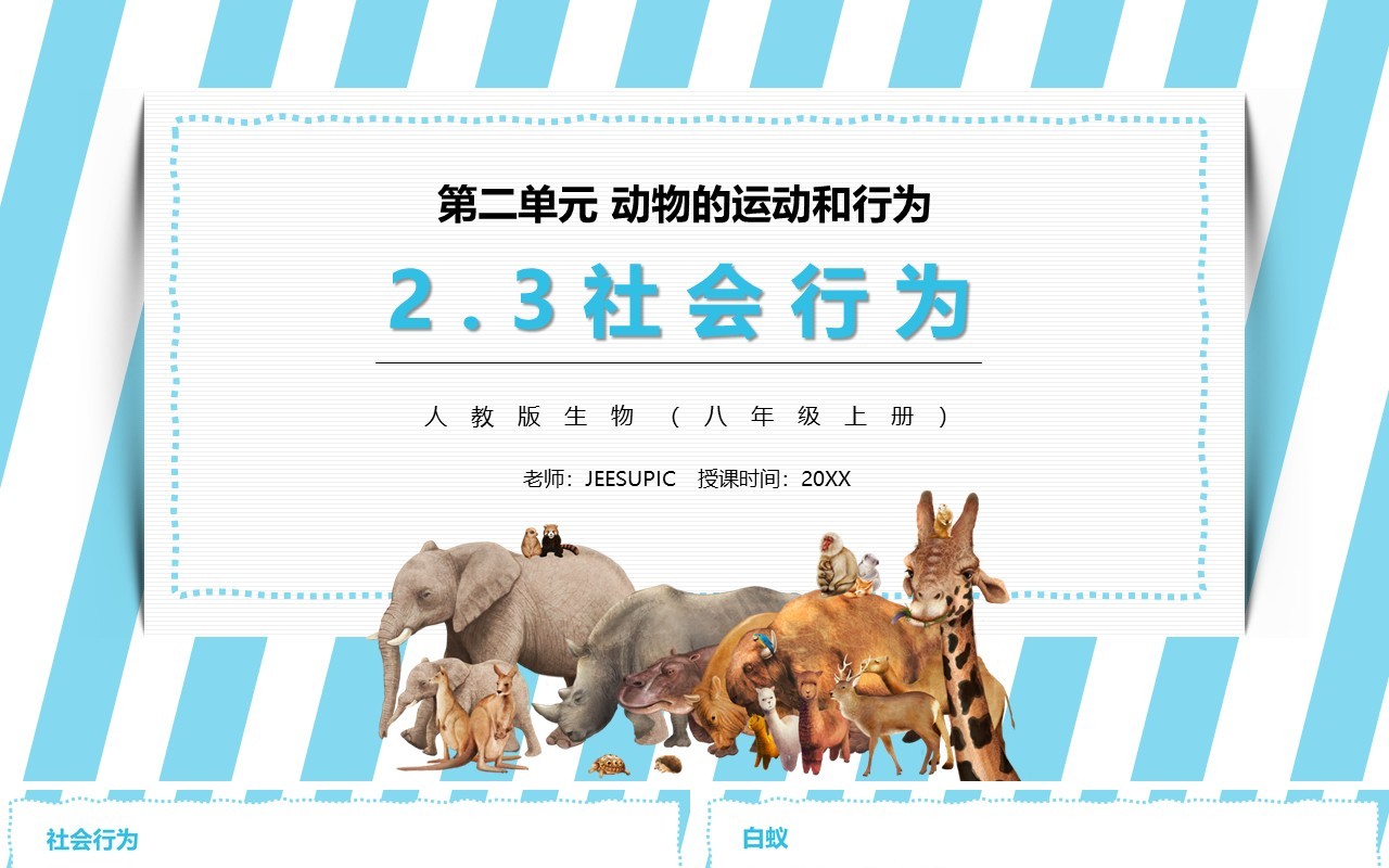 部编版八年级生物上册社会行为PPT模板