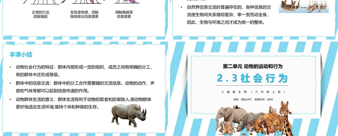 部编版八年级生物上册社会行为PPT模板