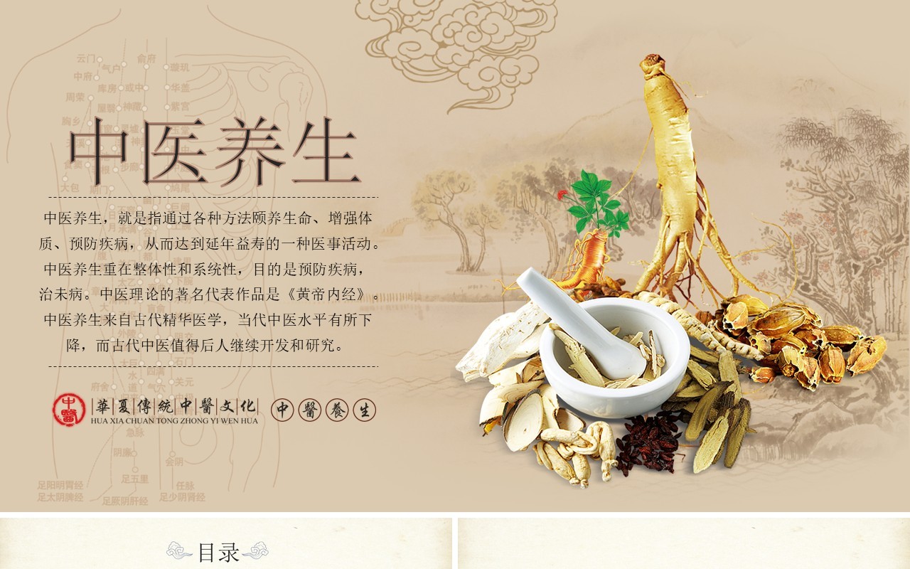 简约简洁中医文化PPT模板