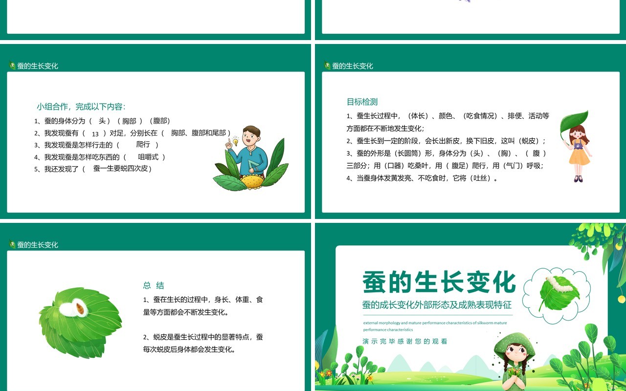 蚕的成长变化外部形态及成熟表现特征动态PPT模板