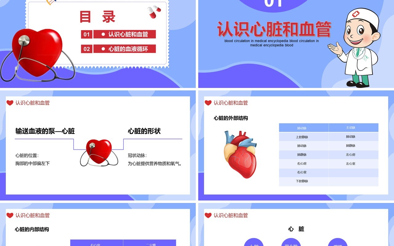 医学百科之血液循环知识讲座通用PPT模板