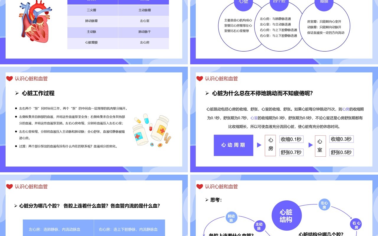 医学百科之血液循环知识讲座通用PPT模板