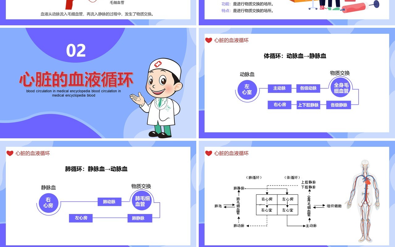 医学百科之血液循环知识讲座通用PPT模板
