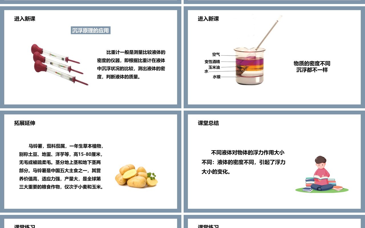 教科版五年级科学下册探索马铃薯沉浮的原因课件PPT模板