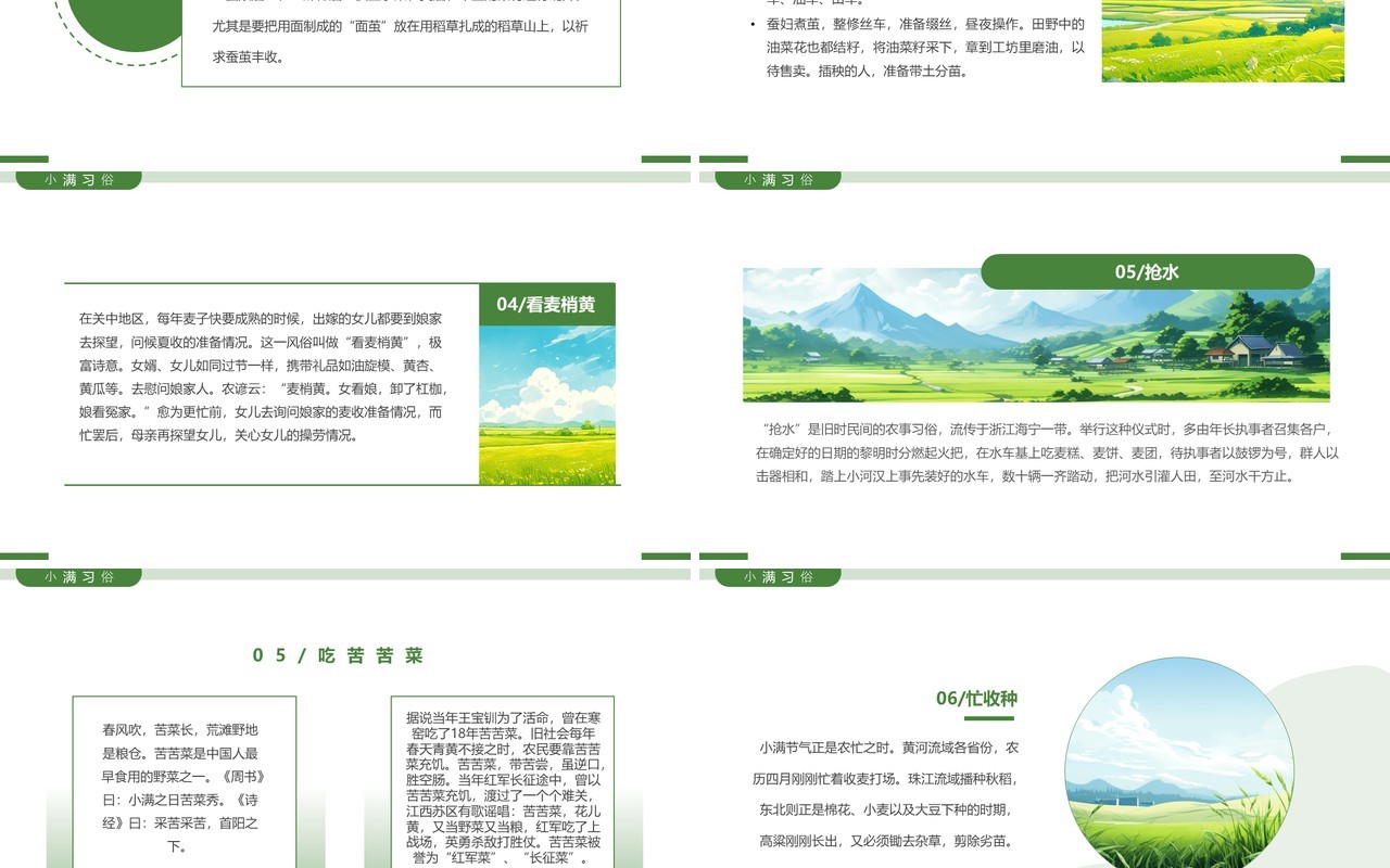 绿色简约风二十四节气之小满PPT模板