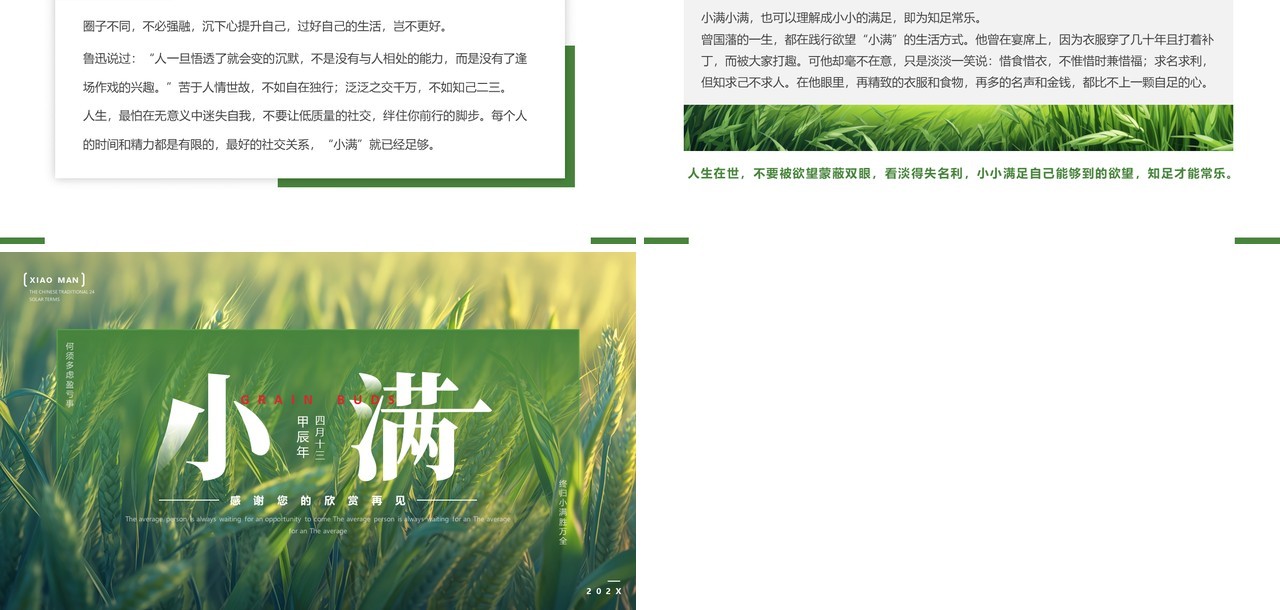 绿色简约风二十四节气之小满PPT模板