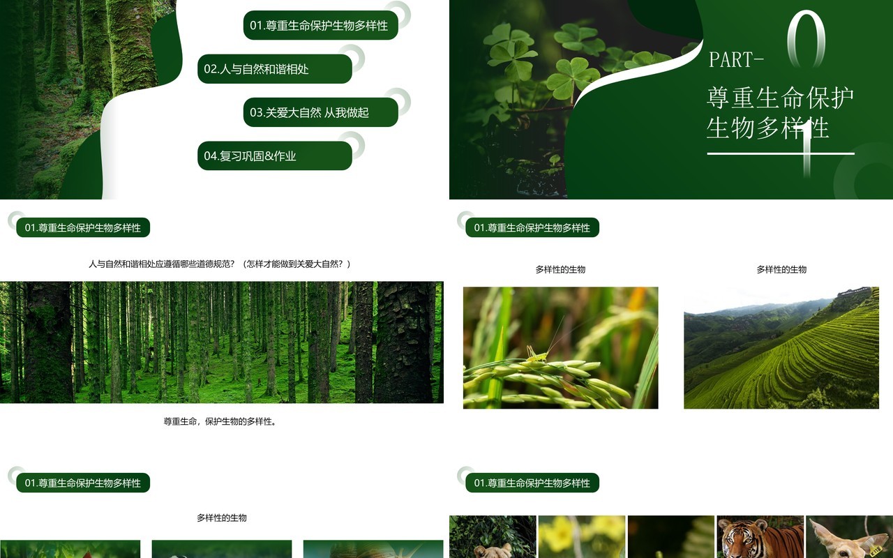 绿色简约风人与自然和谐相处PPT模板