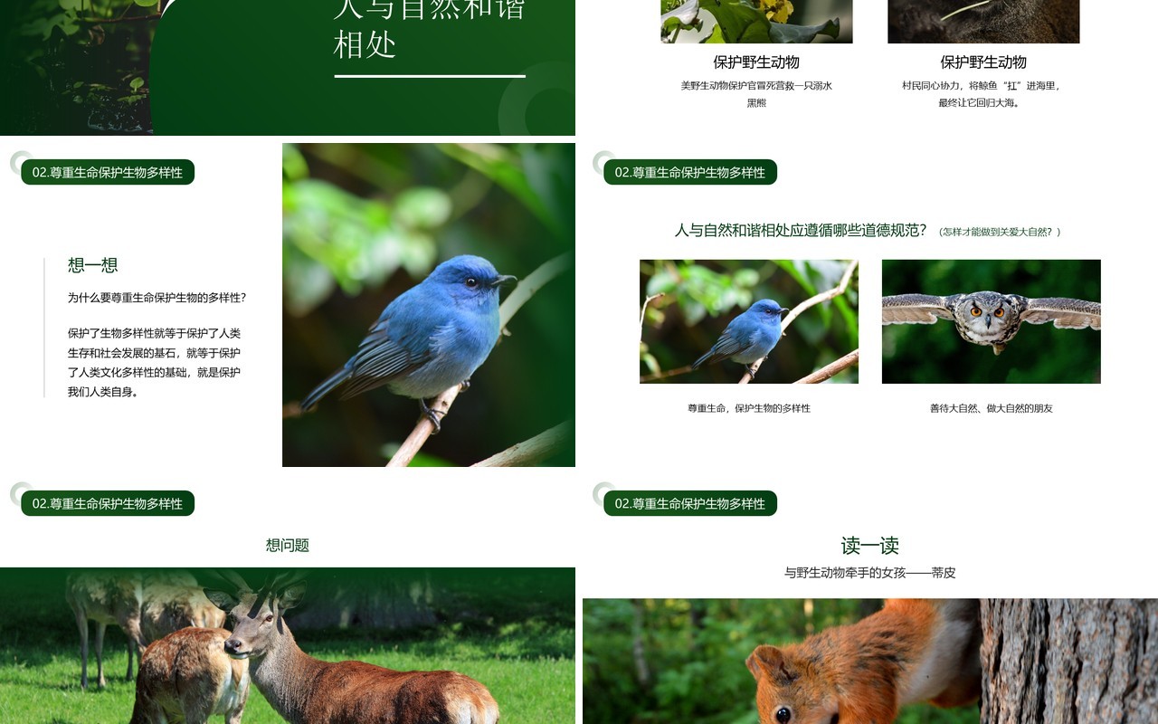 绿色简约风人与自然和谐相处PPT模板