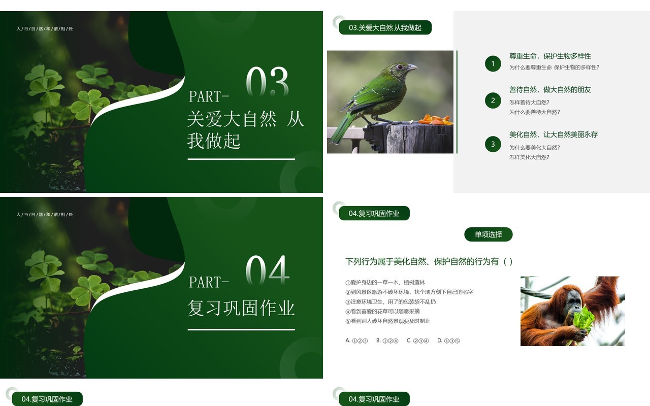 绿色简约风人与自然和谐相处PPT模板