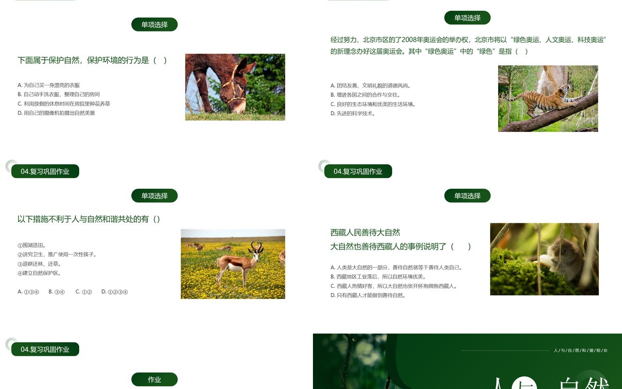 绿色简约风人与自然和谐相处PPT模板