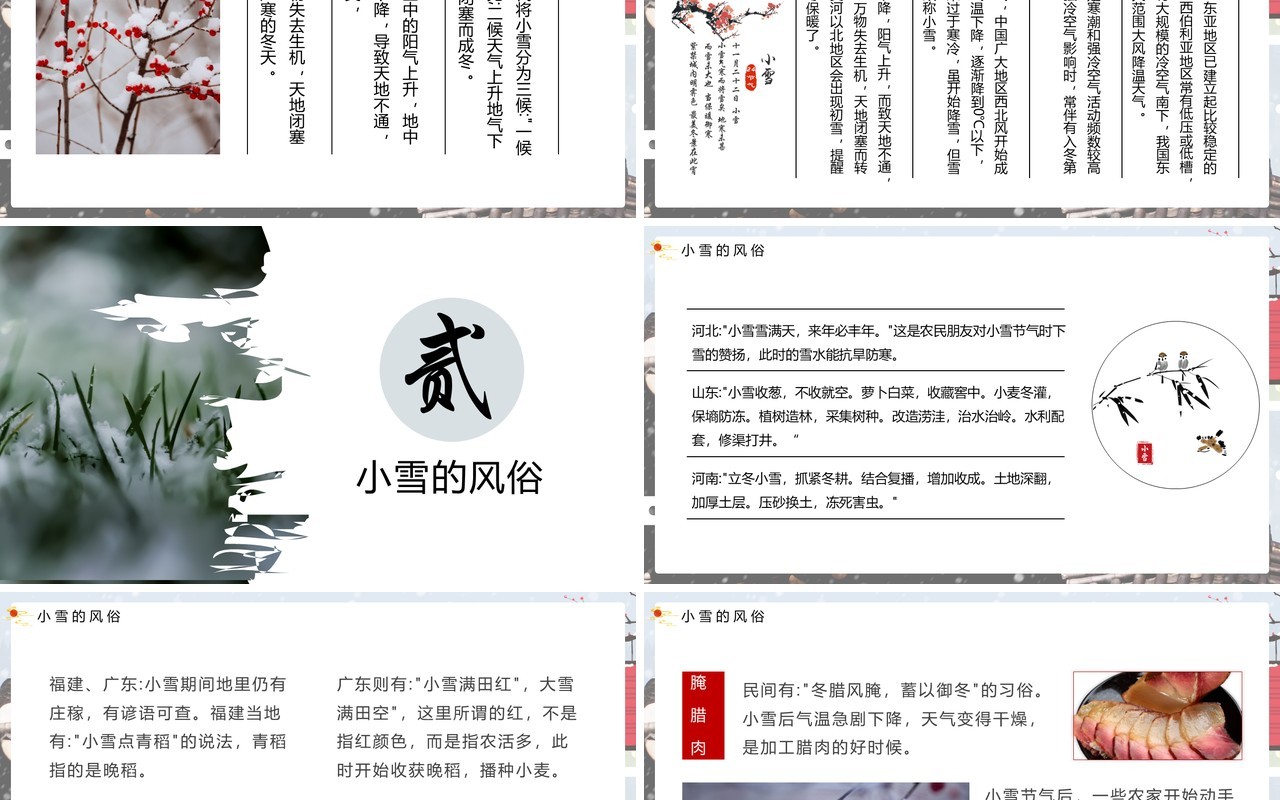 淡雅中国风传统二十四节气之小雪介绍PPT模板