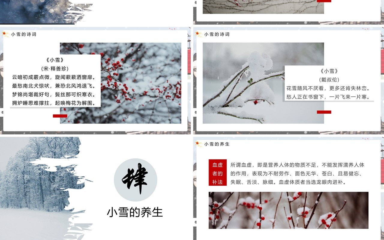 淡雅中国风传统二十四节气之小雪介绍PPT模板