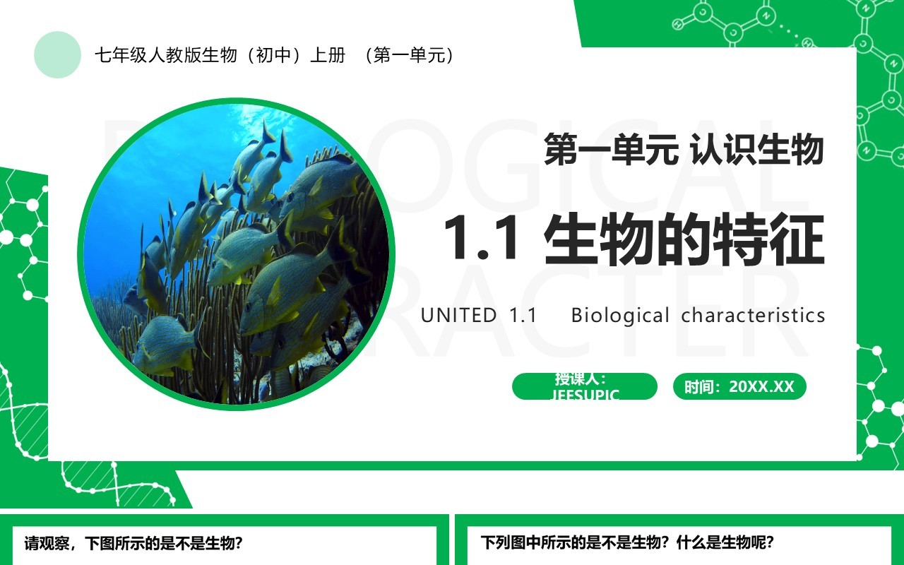 部编版七年级生物上册生物的特征PPT模板
