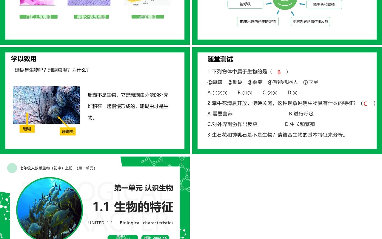 部编版七年级生物上册生物的特征PPT模板