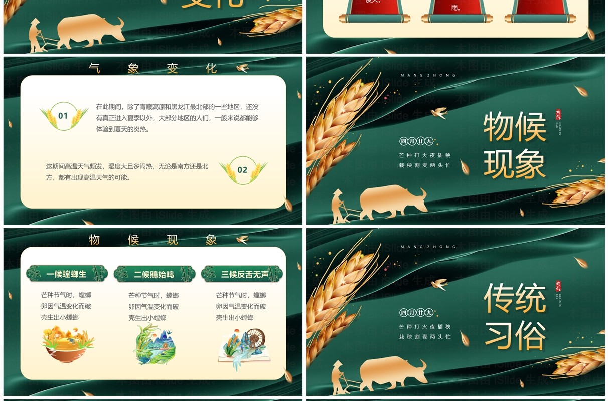 绿色中国风传统二十四节气之芒种PPT模板