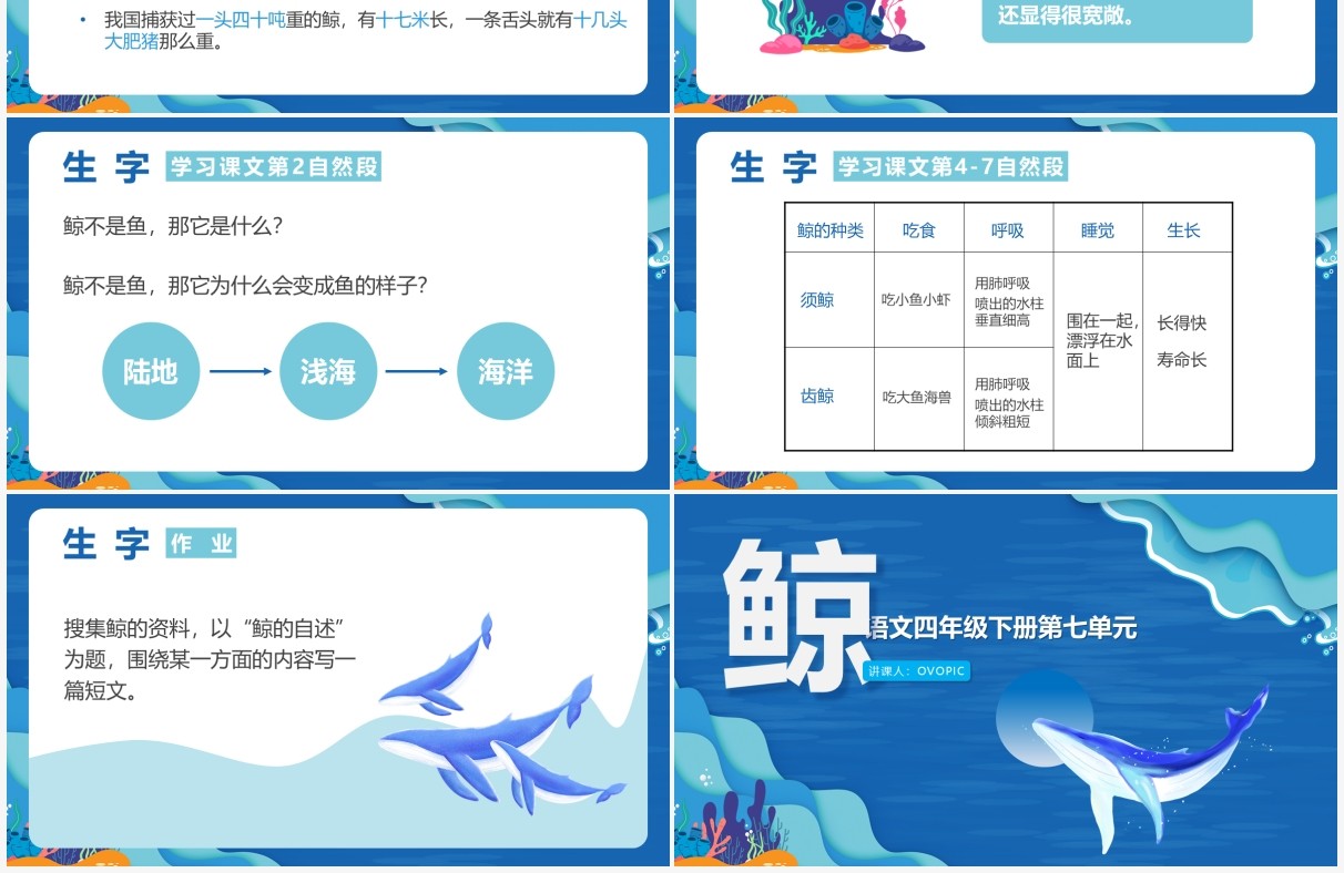 部编版四年级语文下册鲸课件PPT模板