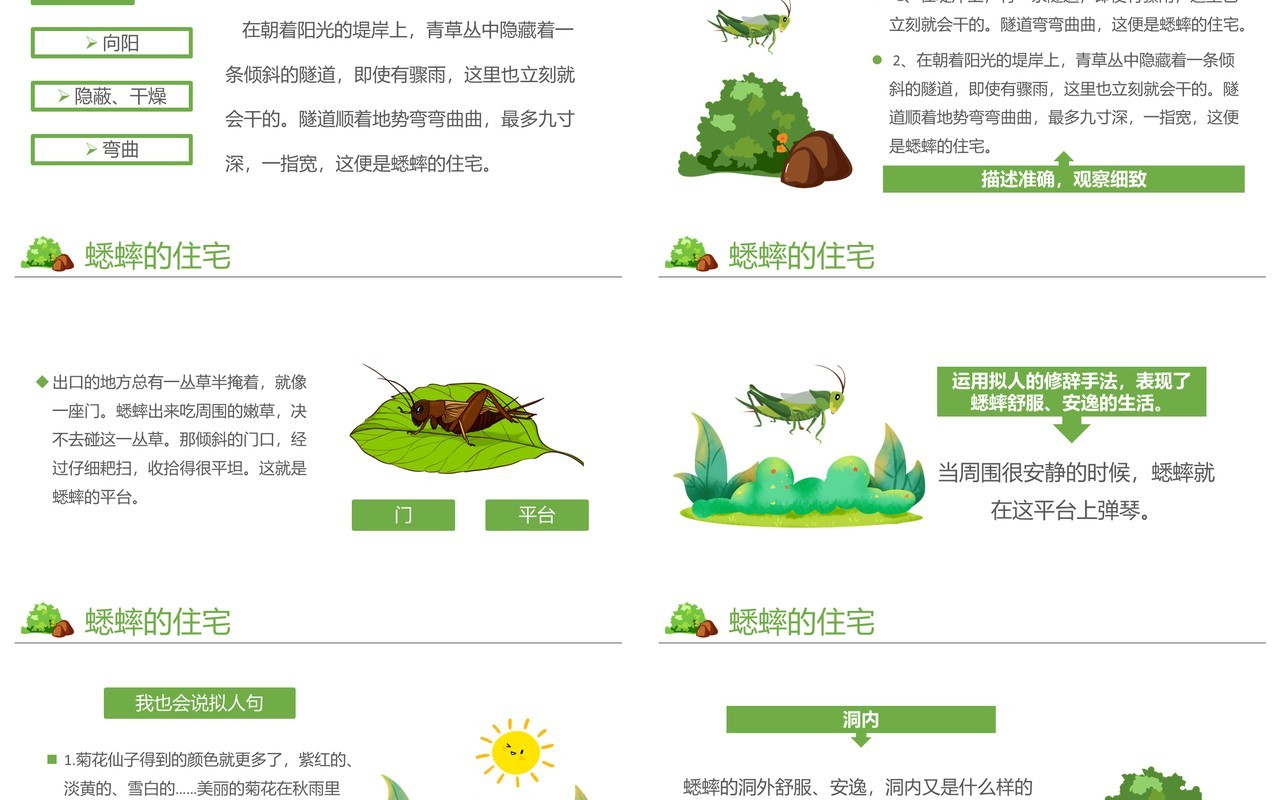 部编版四年级语文上册蟋蟀的住宅课件PPT模板