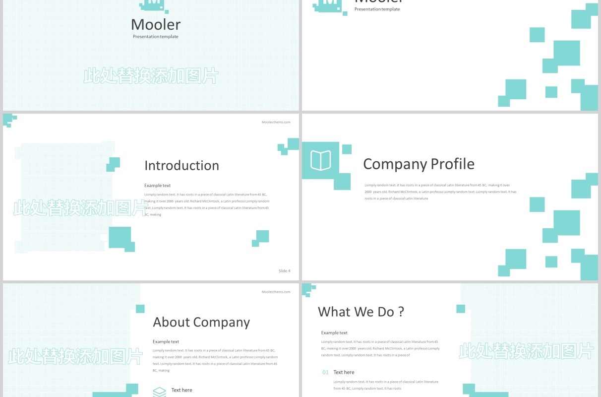 公司项目产品介绍PPT模板版式设计Mooler - Powerpoint Template