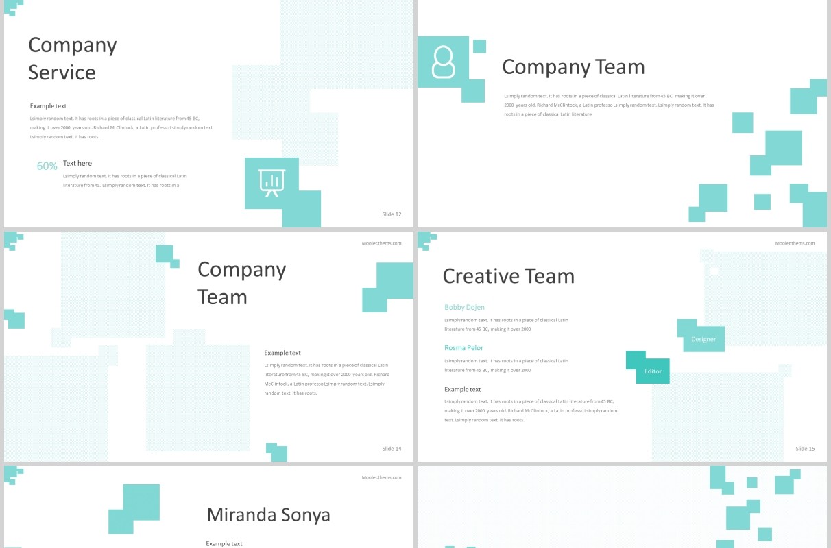 公司项目产品介绍PPT模板版式设计Mooler - Powerpoint Template