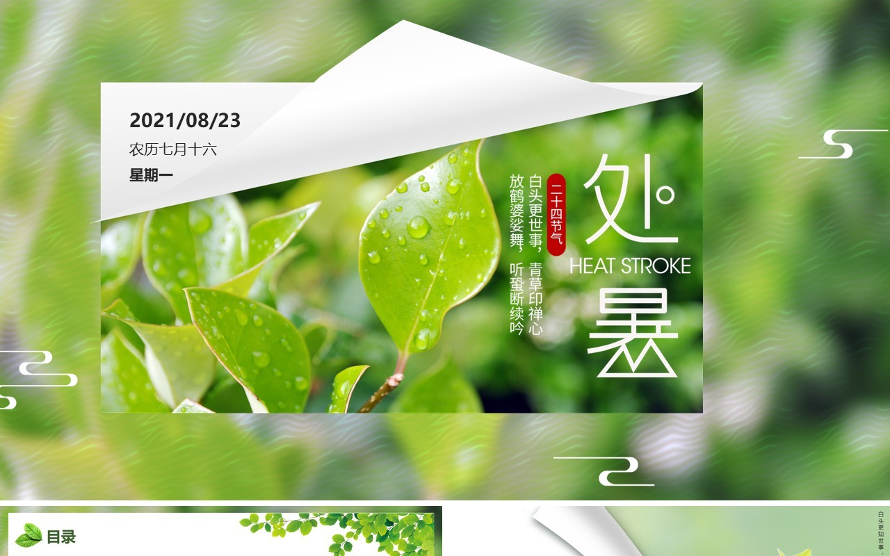 绿色小清新中国传统节日二十四节气处暑节日介绍PPT模板