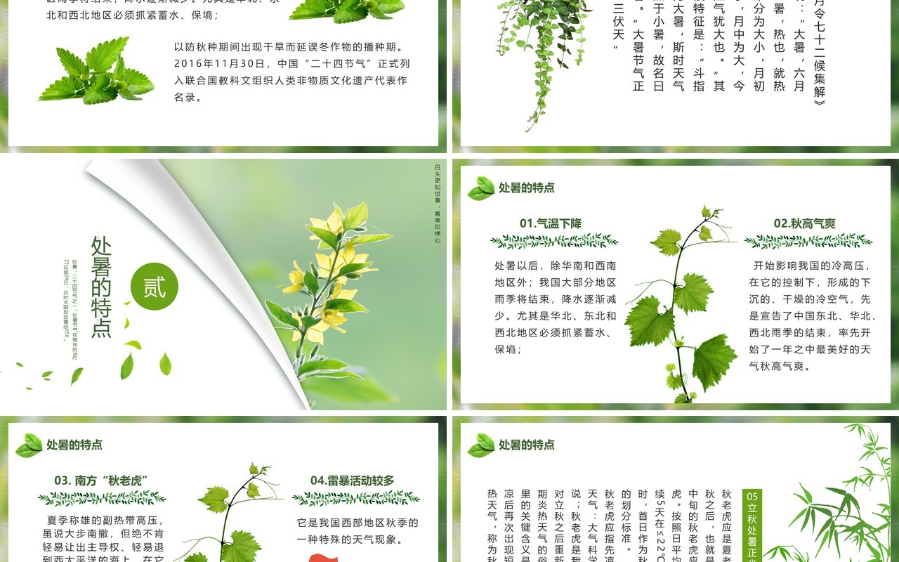 绿色小清新中国传统节日二十四节气处暑节日介绍PPT模板