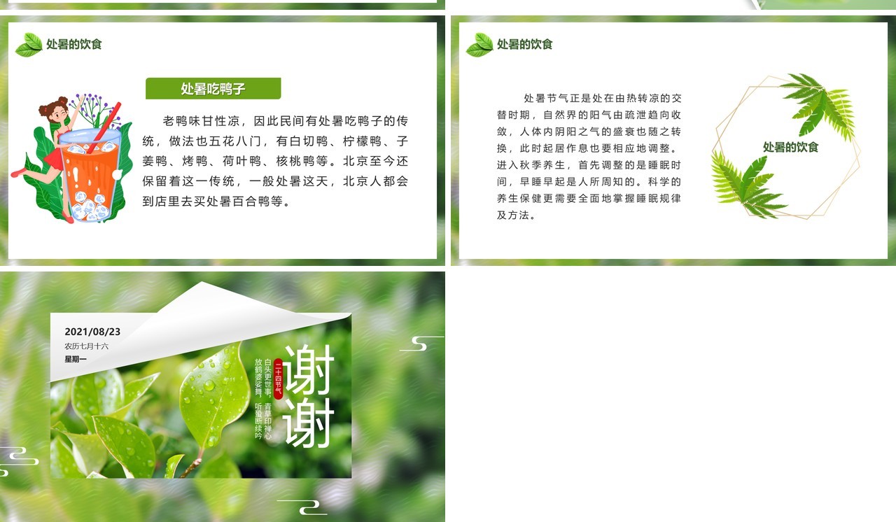 绿色小清新中国传统节日二十四节气处暑节日介绍PPT模板