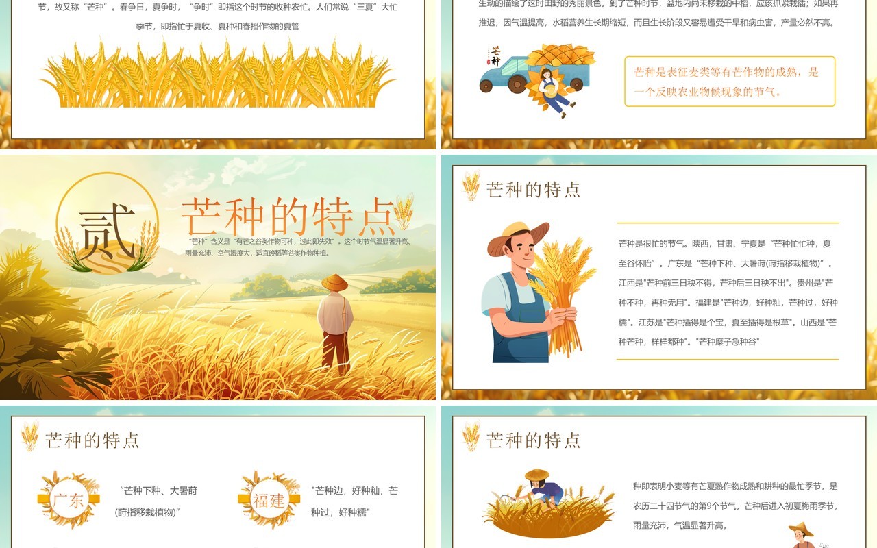 黄色插画风二十四节气之芒种介绍PPT模板