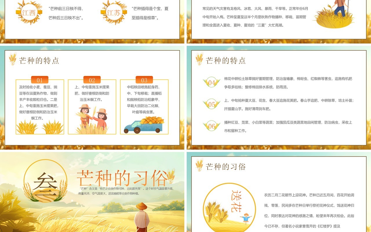 黄色插画风二十四节气之芒种介绍PPT模板