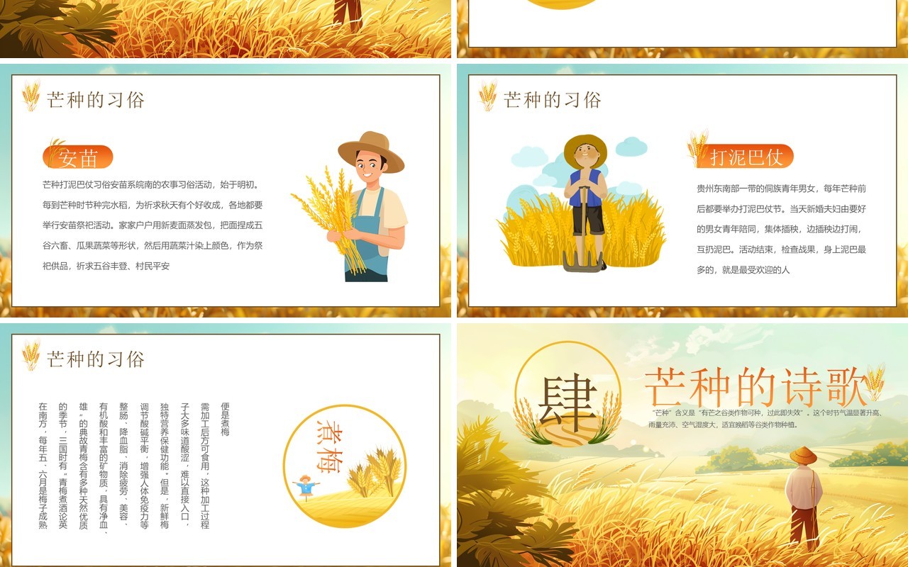 黄色插画风二十四节气之芒种介绍PPT模板