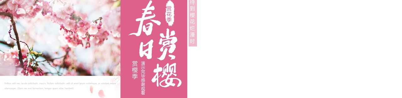 小清新春日赏樱画册通用PPT模板